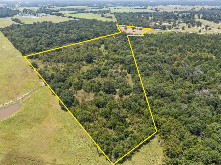 883 Fm 1653, Ben Wheeler, TX 75754 - #2