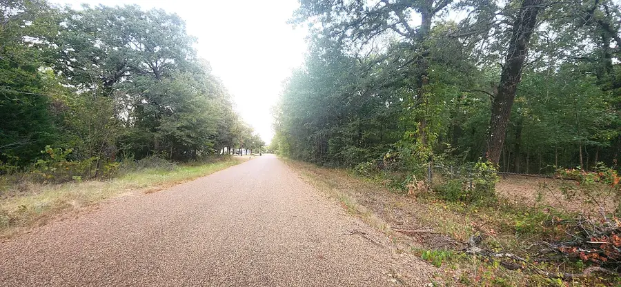 112 Charlie's Place Road, Trinidad, TX 75163 - #3