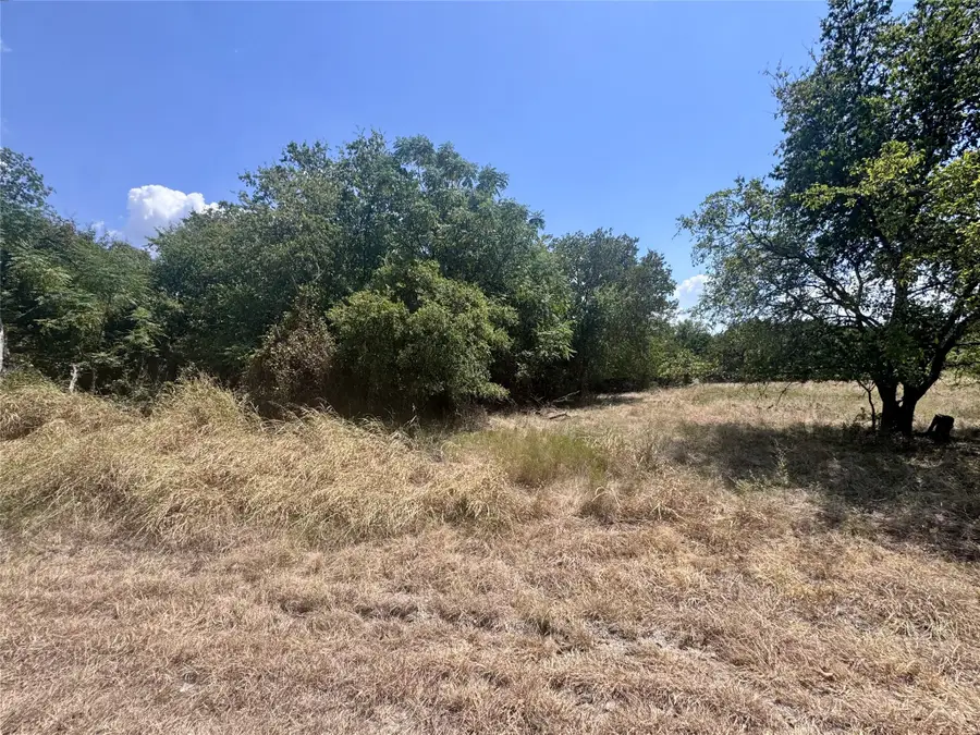 32028 Dove Trail, Whitney, TX 76692 - #2