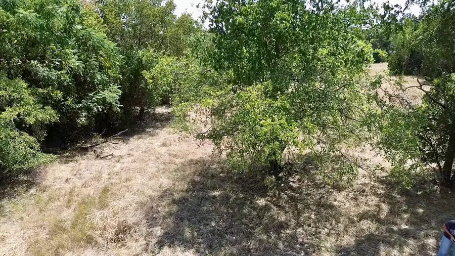 32028 Dove Trail, Whitney, TX 76692 - #3