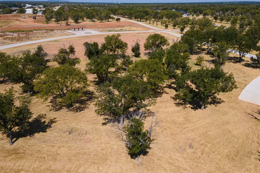 2312 E Landings S, Granbury, TX 76049 - #3