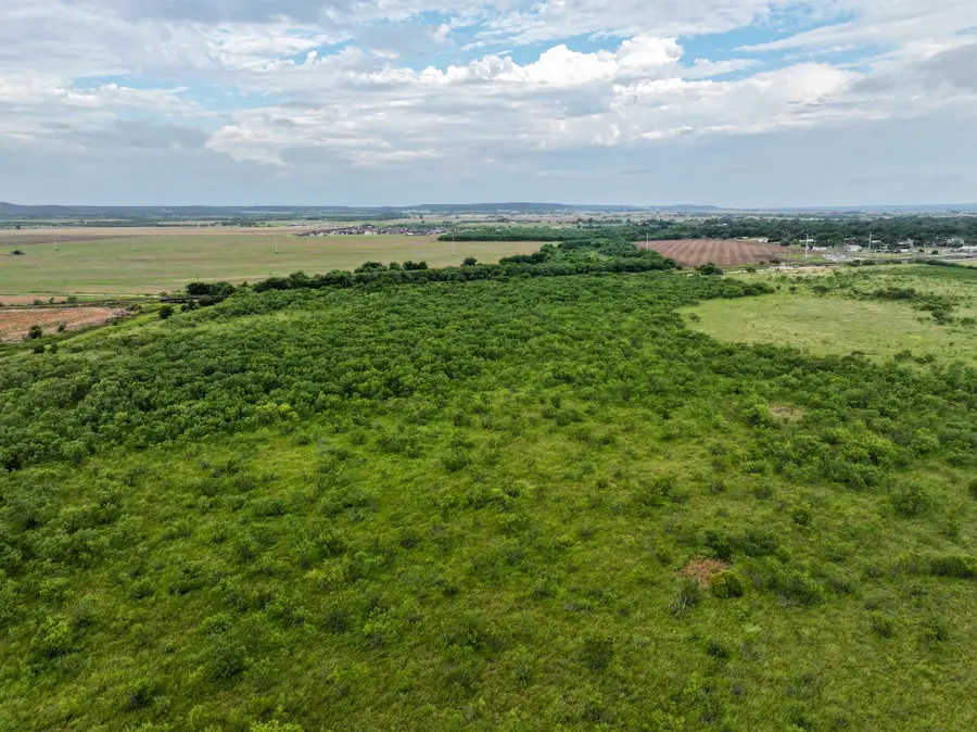 171 Badger Den, Tuscola, TX 79562 - #2