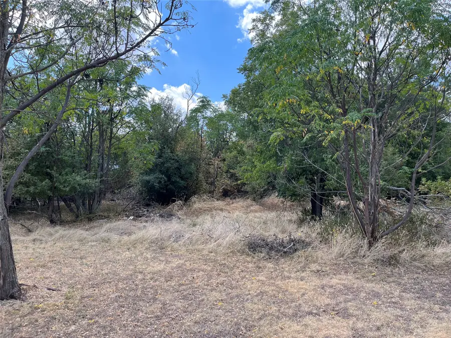TBD Denmark Street, Walnut Springs, TX 76690 - #2