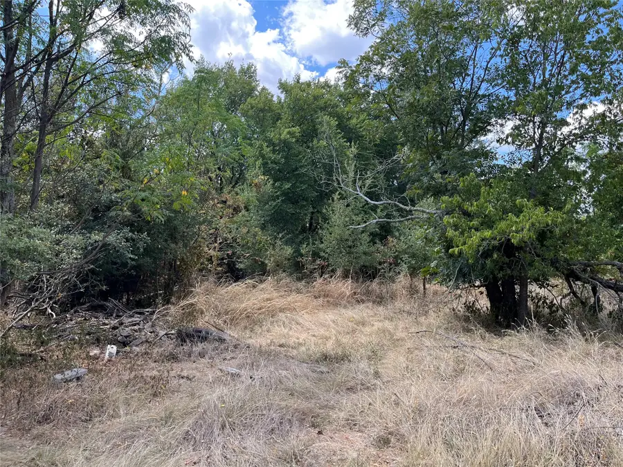 TBD Denmark Street, Walnut Springs, TX 76690 - #3