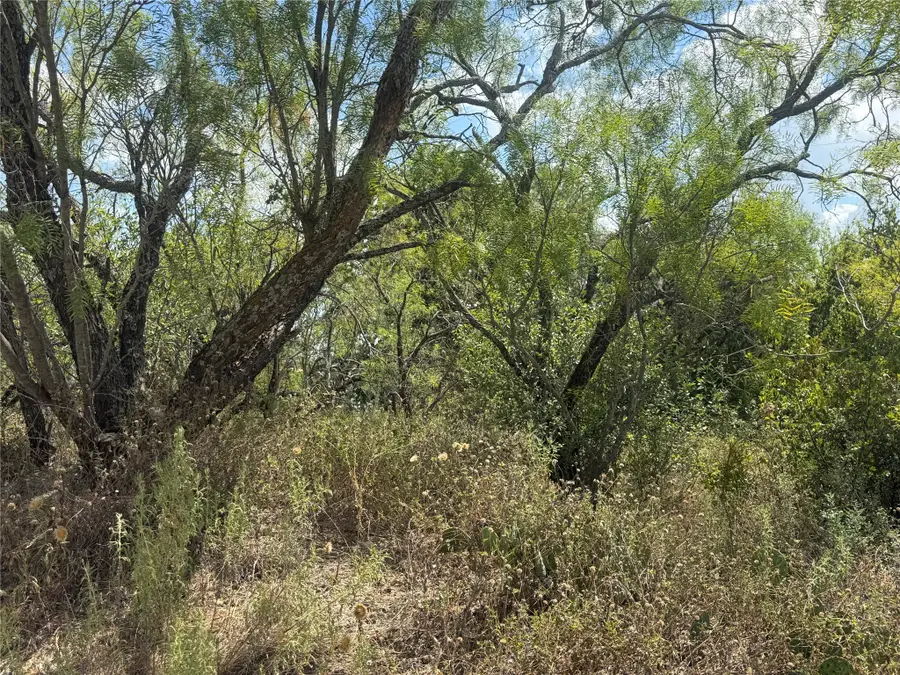 NA Waterford Drive, Brownwood, TX 76801 - #3