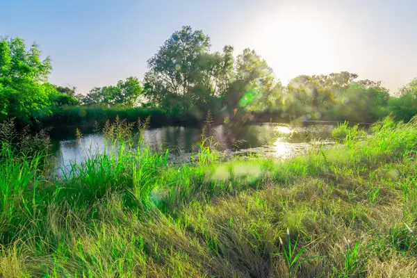 TBD Cartwright Road, Avalon, TX 76623