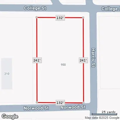 950 Harris Street, Mingus, TX 76463 - #3