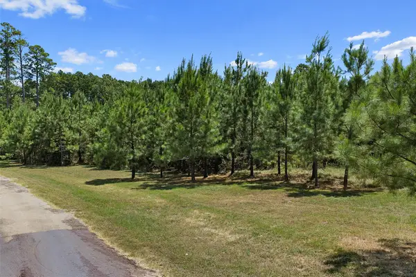 TBD Odom Road, Grand Cane, LA 71032