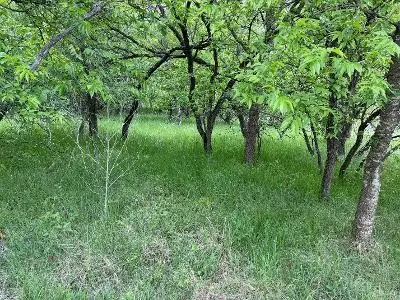 1980 Fm 933, Aquilla, TX 76622 - #3
