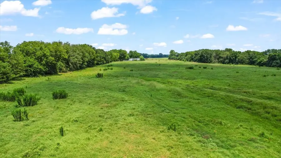 195 County Road 2468, Winnsboro, TX 75494 - #3