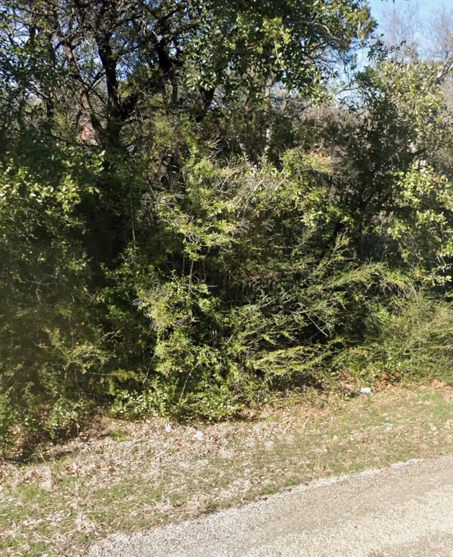 2718 Cypress Street, Granbury, TX 76048 - #3