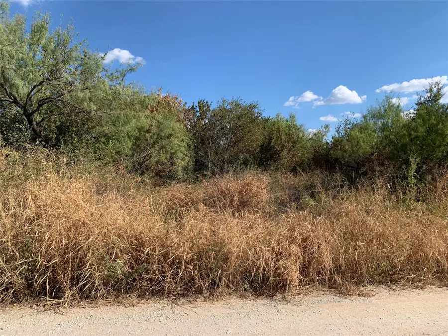 101 Bridlewood Lane, Bridgeport, TX 76426 - #2