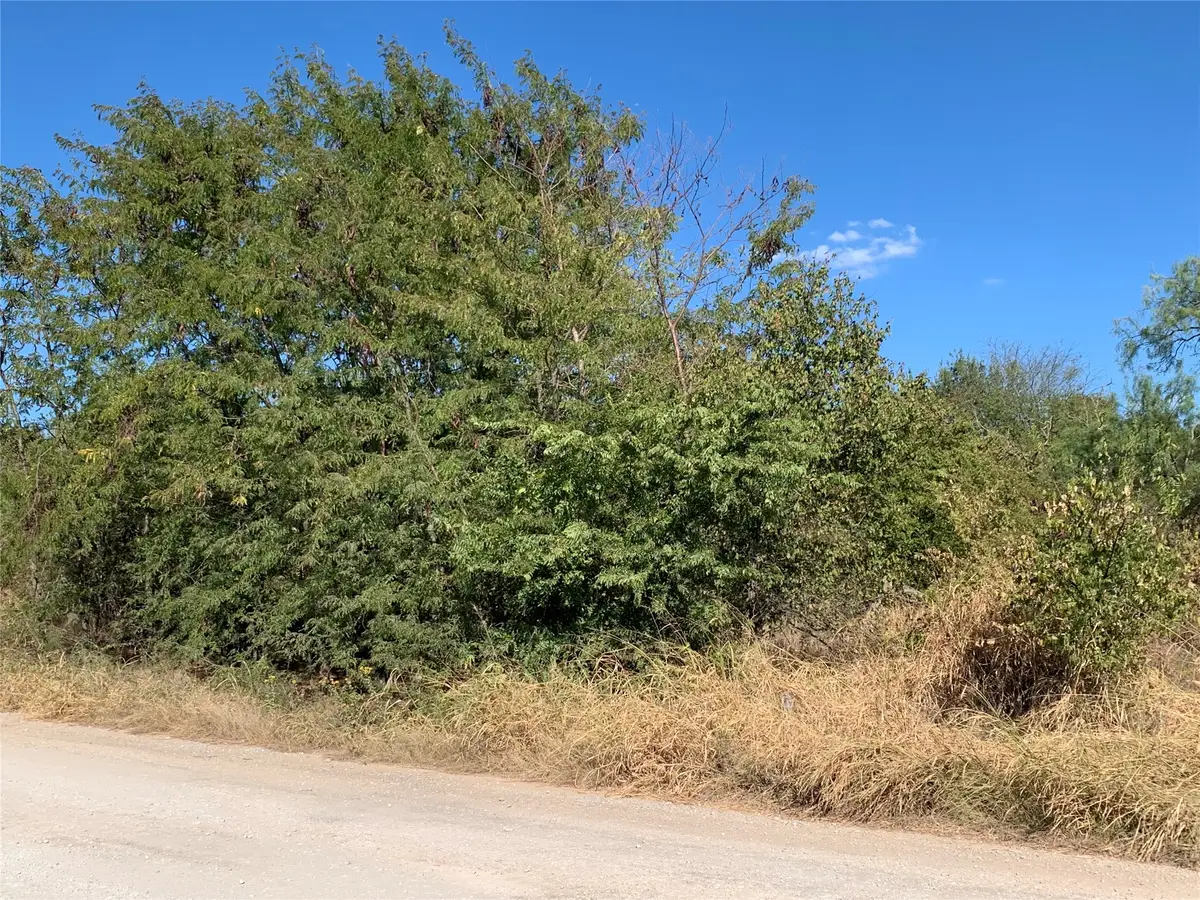103 Bridlewood Lane, Bridgeport, TX 76426 - #1