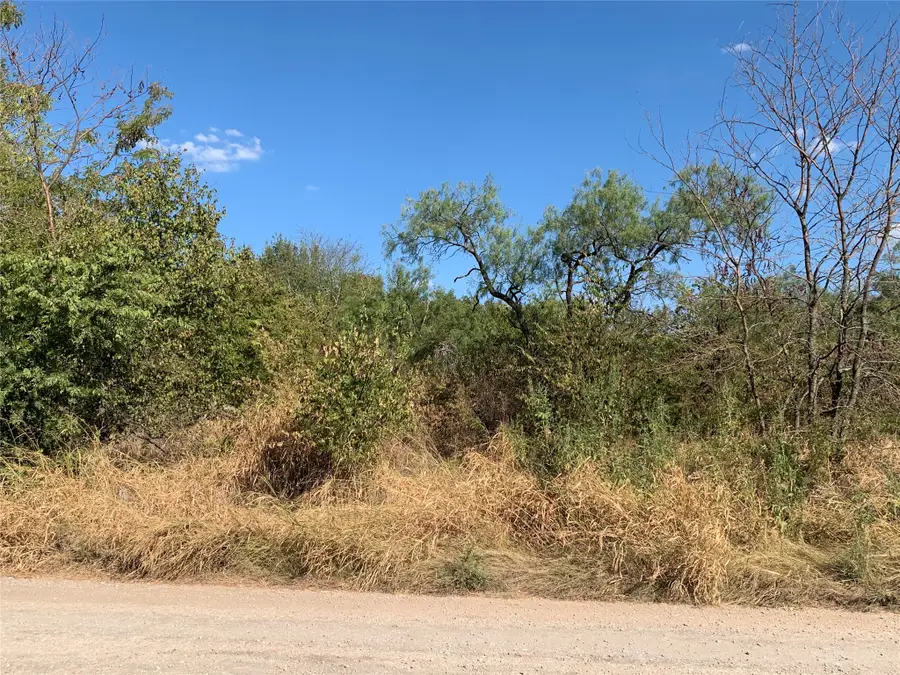 103 Bridlewood Lane, Bridgeport, TX 76426 - #2