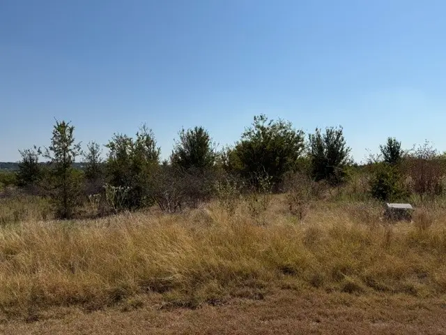 Lot 8 Heron Court, Graford, TX 76449 - #1