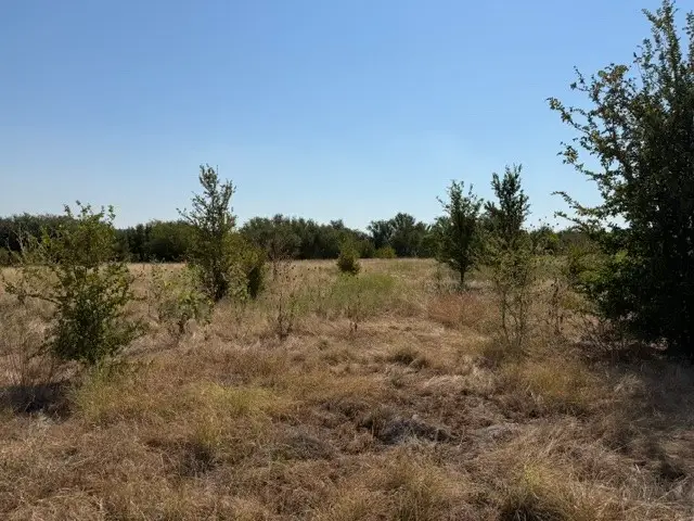 Lot 8 Heron Court, Graford, TX 76449 - #2