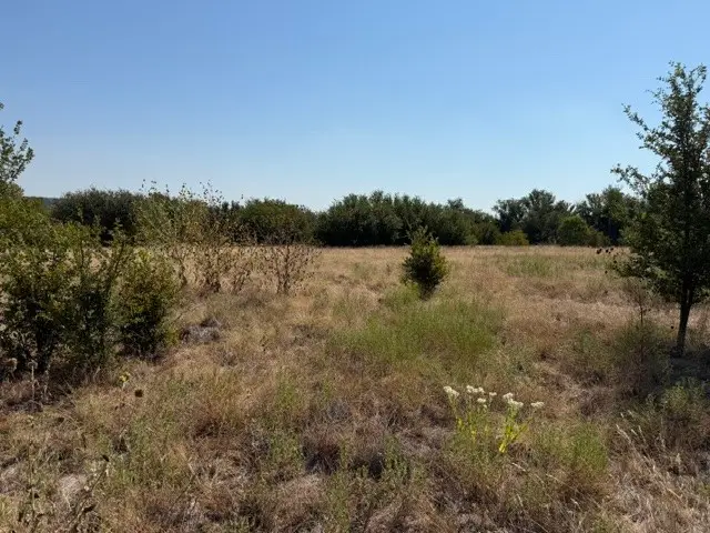 Lot 8 Heron Court, Graford, TX 76449 - #3