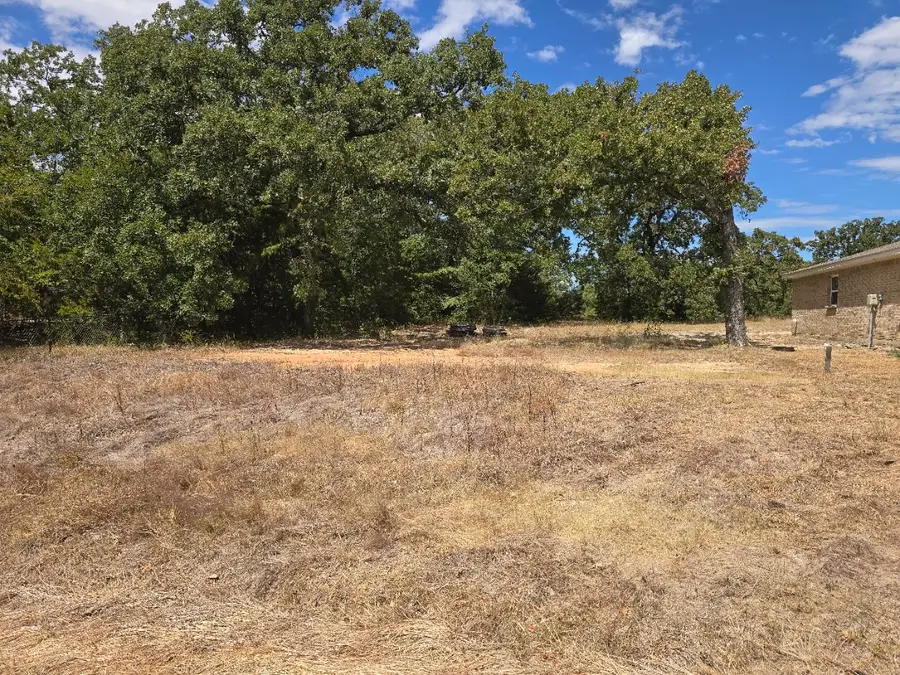 Lot 37 Ensign Lane, Gun Barrel City, TX 75156 - #3