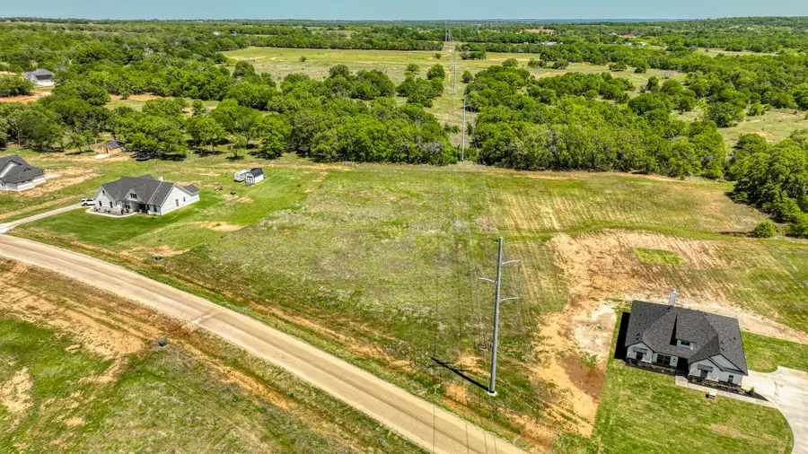 Lot 42 Leo Lane, Poolville, TX 76487 - #3