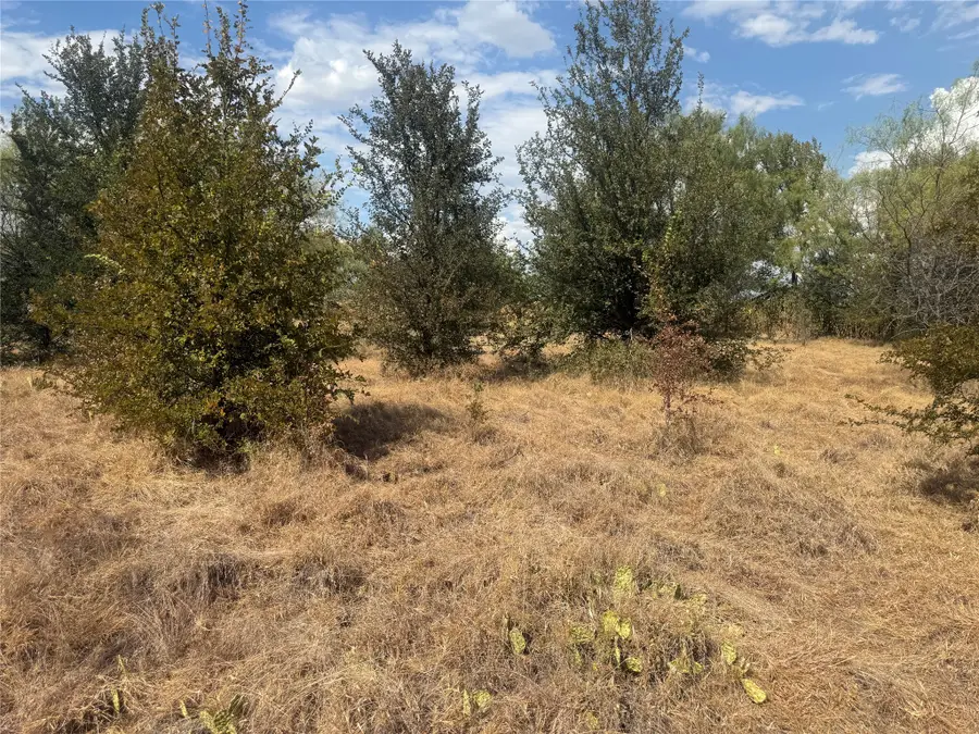 780 County Road 410a, Comanche, TX 76442 - #3