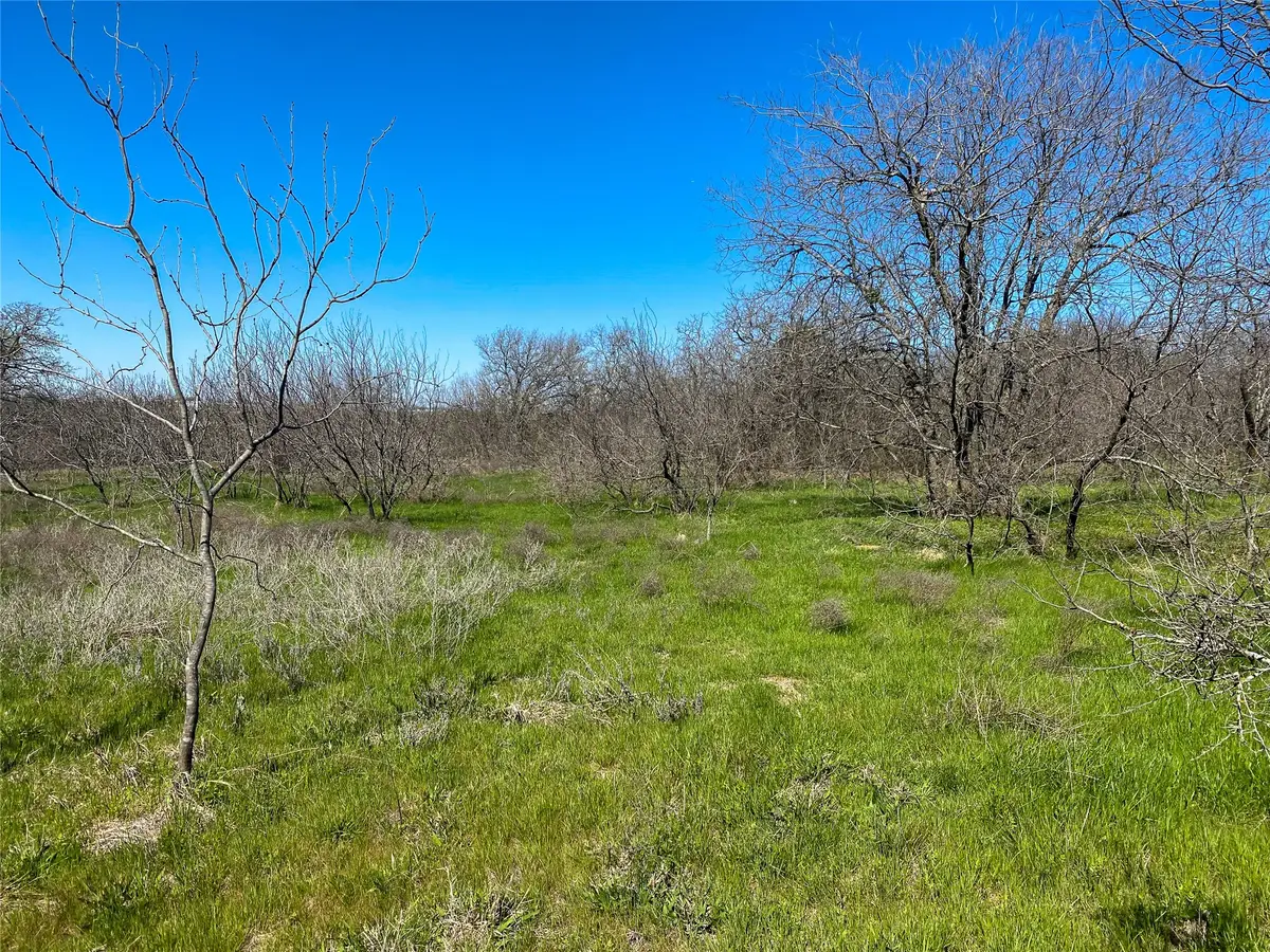 1700 Don Lee Road, Joshua, TX 76058 - #1