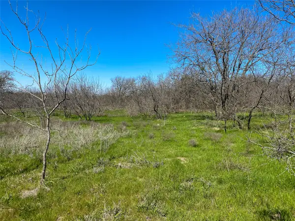 1700 Don Lee Road, Joshua, TX 76058