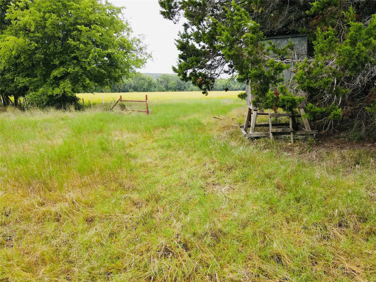 TBD Fm 215 Tract 6, Valley Mills, TX 76689 - #1