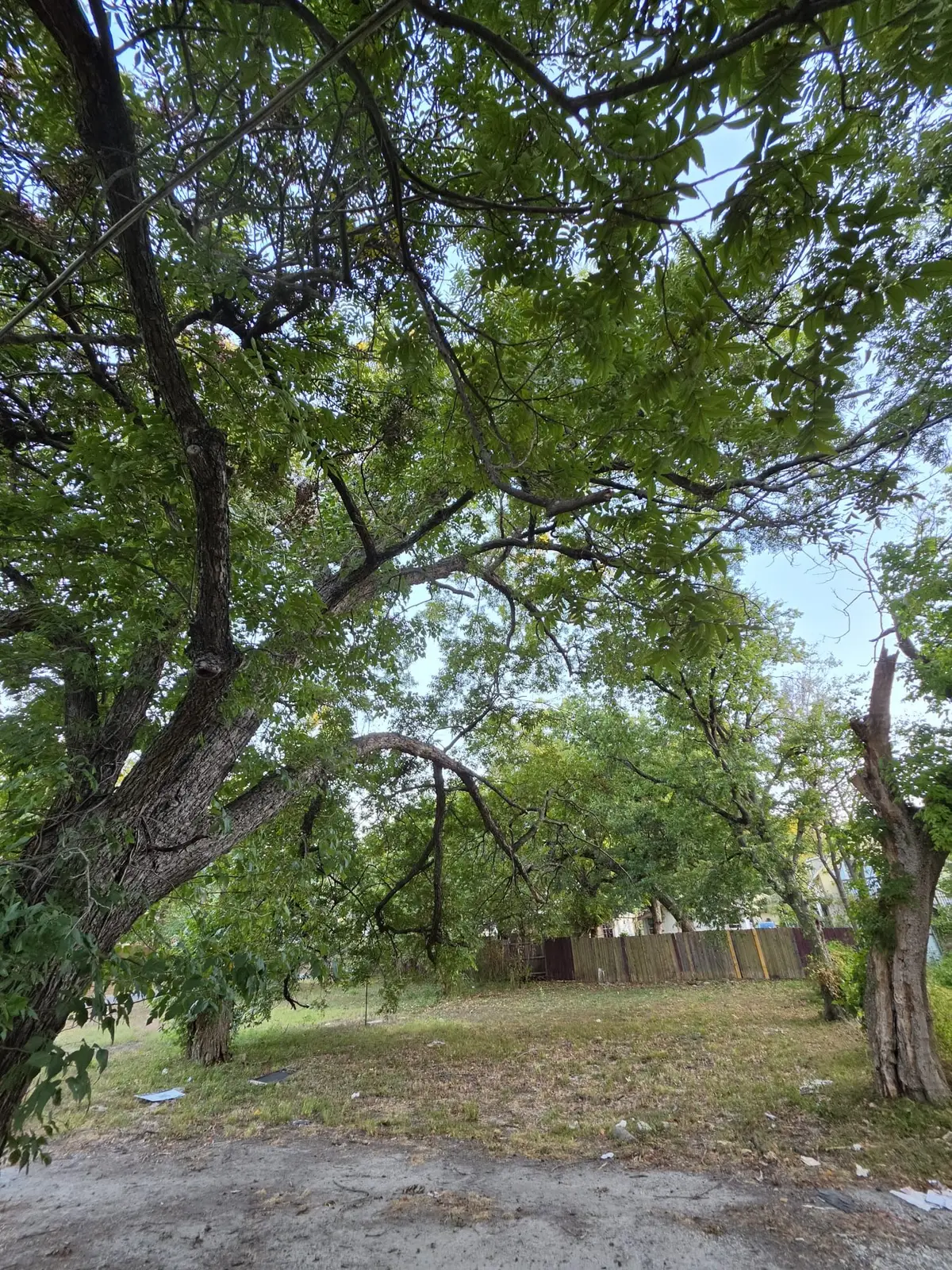 1218 Bliss Street, Dallas, TX 75203 - #1