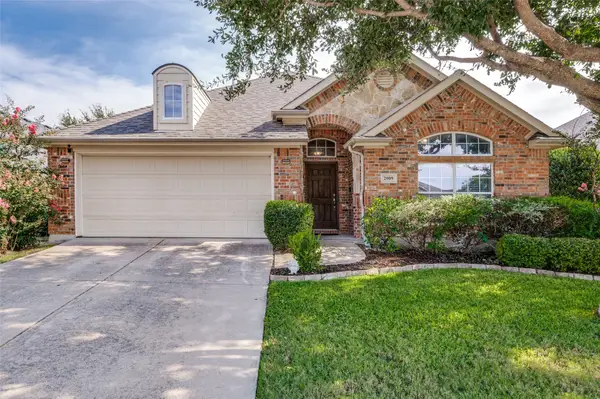 2009 Michelle Creek Drive, Little Elm, TX 75068
