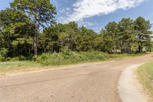 TBD Valley View, Frankston, TX 75763