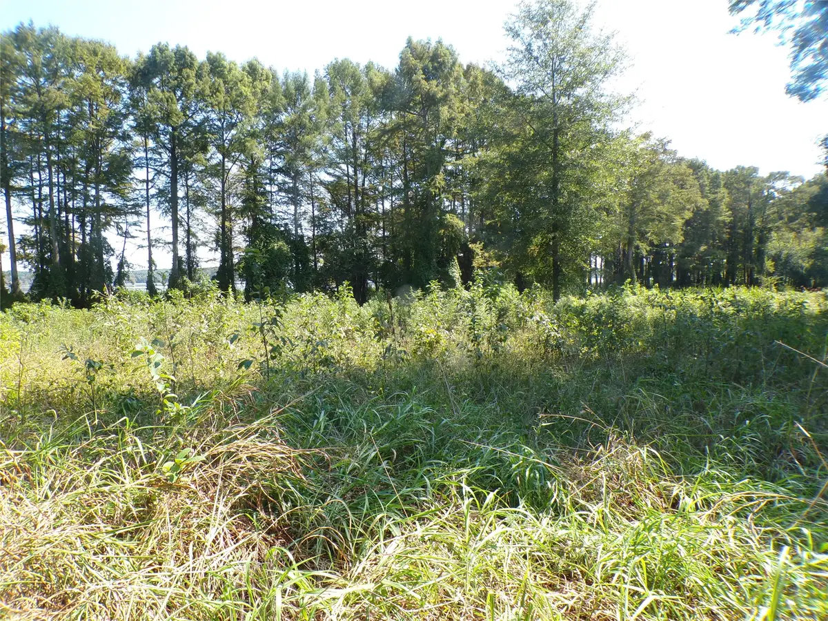 0 Collier Trail, Lewisville, AR 71845 - #1