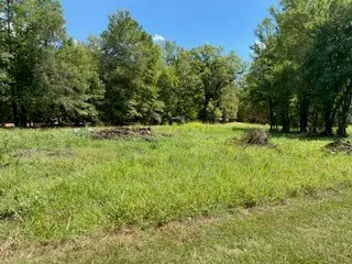 0 Wilderness Road, Benton, LA 71006 - #1