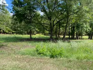 0 Wilderness Road, Benton, LA 71006 - #3