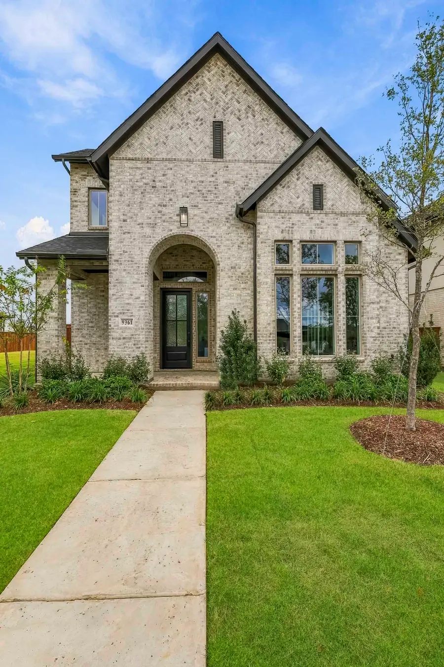 9361 Jackson Vine Mews, Frisco, TX 75035 - #3