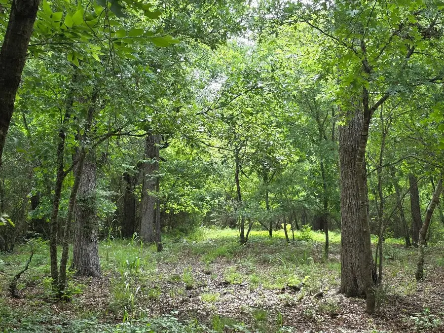 8415 Hollandbush Court, Cleburne, TX 76033 - #3