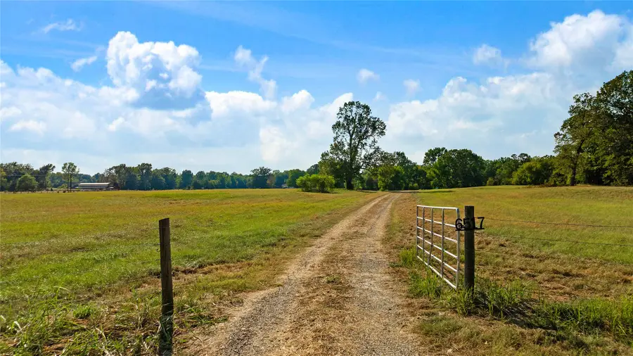 6517 County Road 45600, Blossom, TX 75416 - #2
