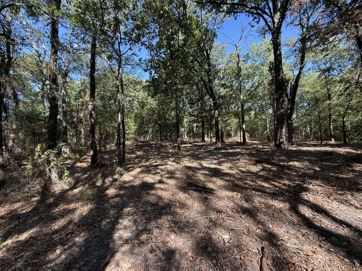 Lot 2 Wood Creek Drive, Lone Oak, TX 75453 - #1