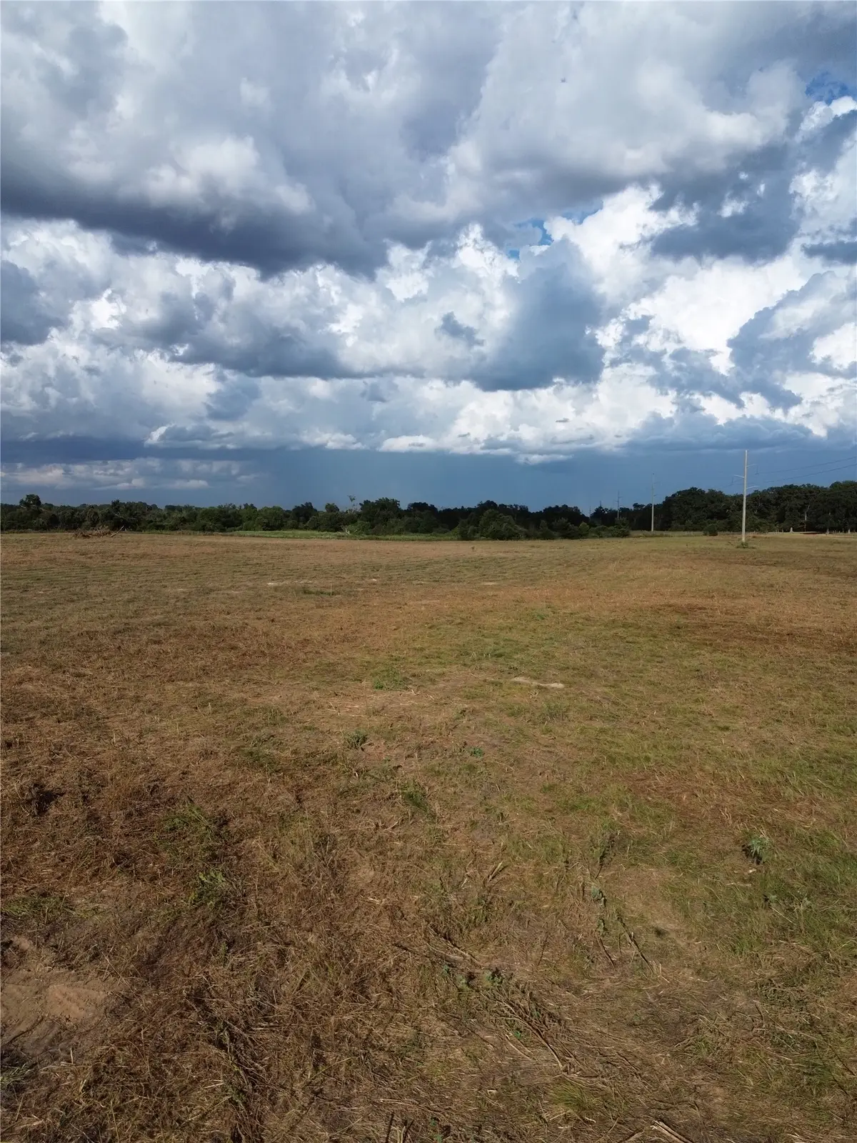 0 Grant Prairie Road #4, Franklin, TX 77856 - #1