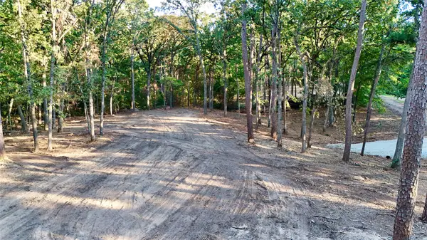000 Ermine Court, Mount Vernon, TX 75457