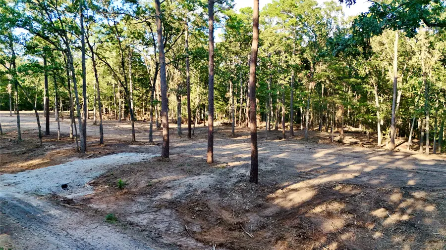 000 Ermine Court, Mount Vernon, TX 75457 - #2