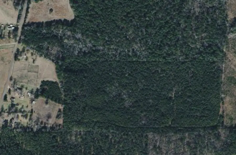 0 Pleasant Hill Cemetary, Plain Dealing, LA 70592 - #3