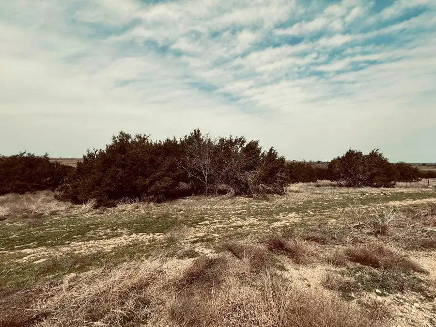 2645 Lucky Pepper, Cresson, TX 76035 - #2