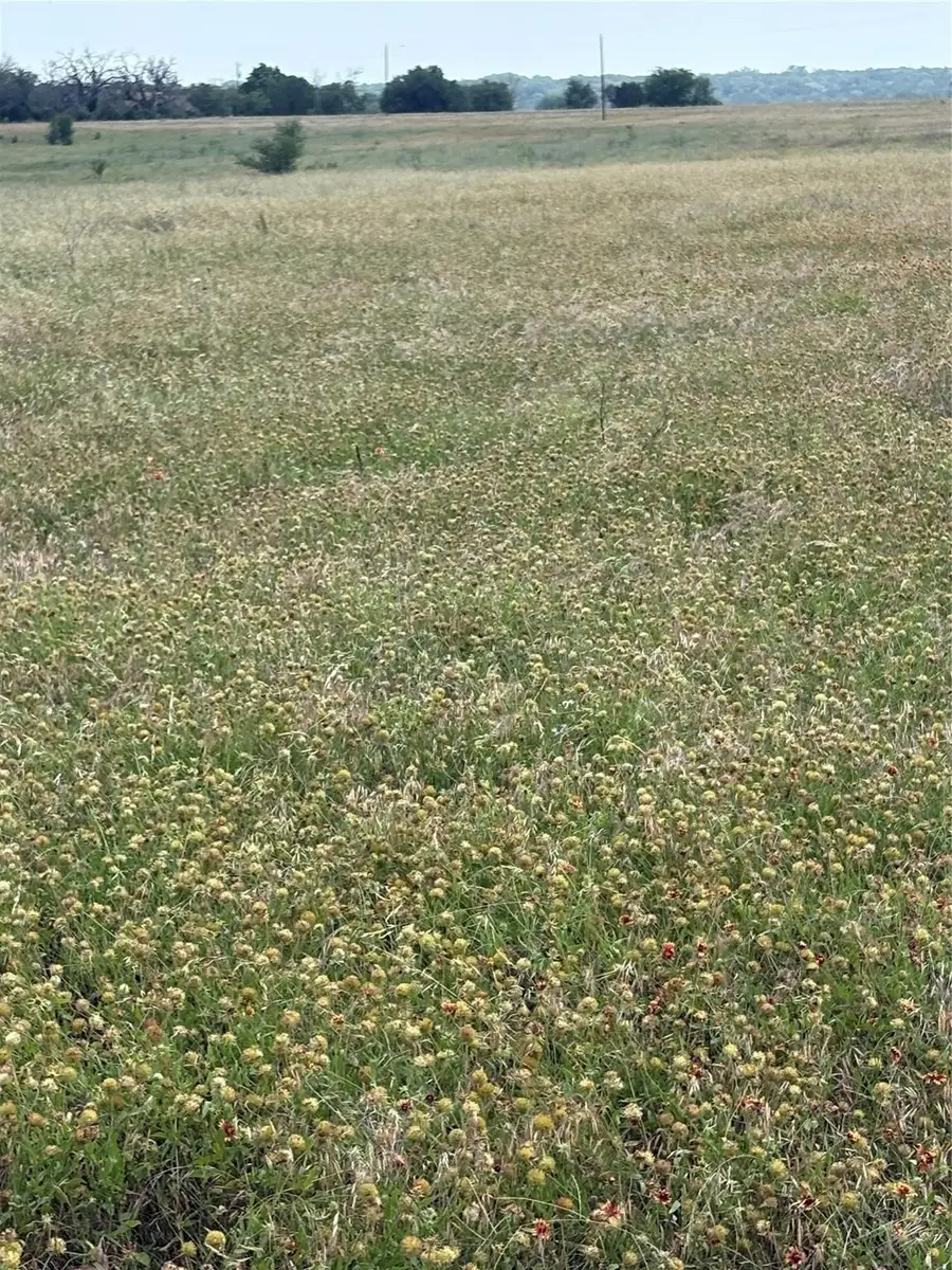 TBD LOT 4 Cr 3565, China Spring, TX 76633 - #2