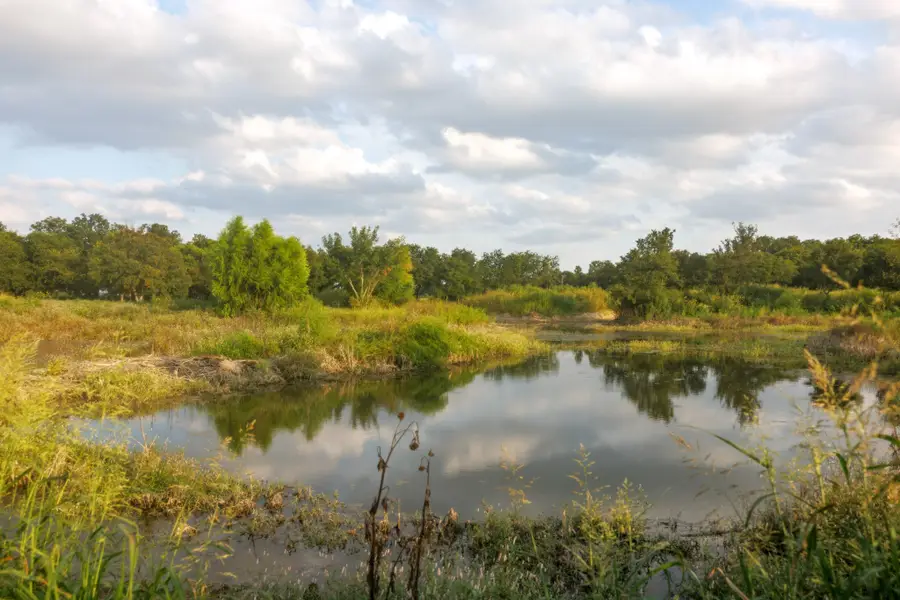 24+/- ac. TBD Hwy 6, Valley Mills, TX 76689 - #2