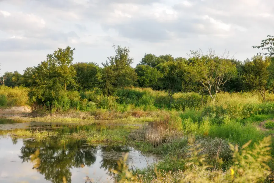 24+/- ac. TBD Hwy 6, Valley Mills, TX 76689 - #3