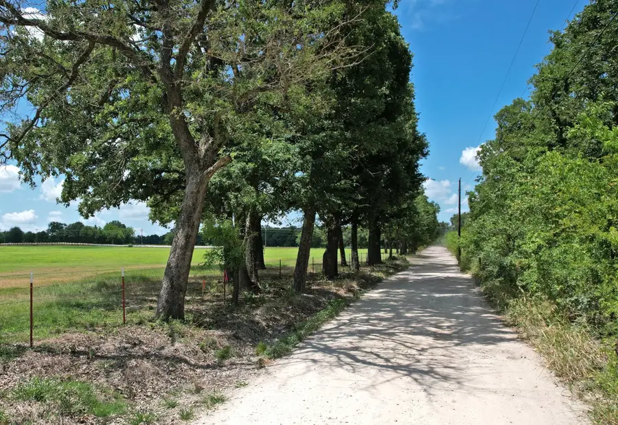 Lot 8 Vz County Road 3222, Wills Point, TX 75169 - #3