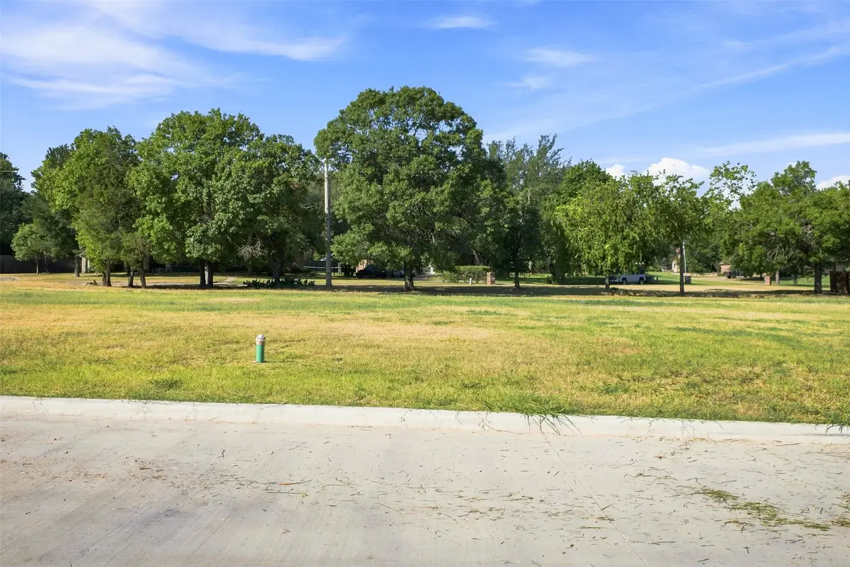 134 Dove Meadow Lane, Glen Rose, TX 76043 - #1