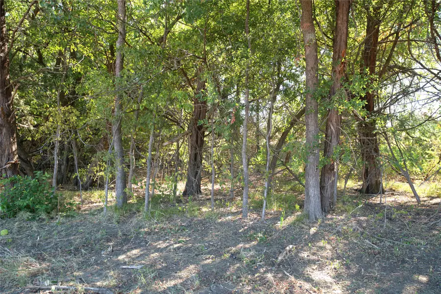 43 County Road 42351, Paris, TX 75462 - #2