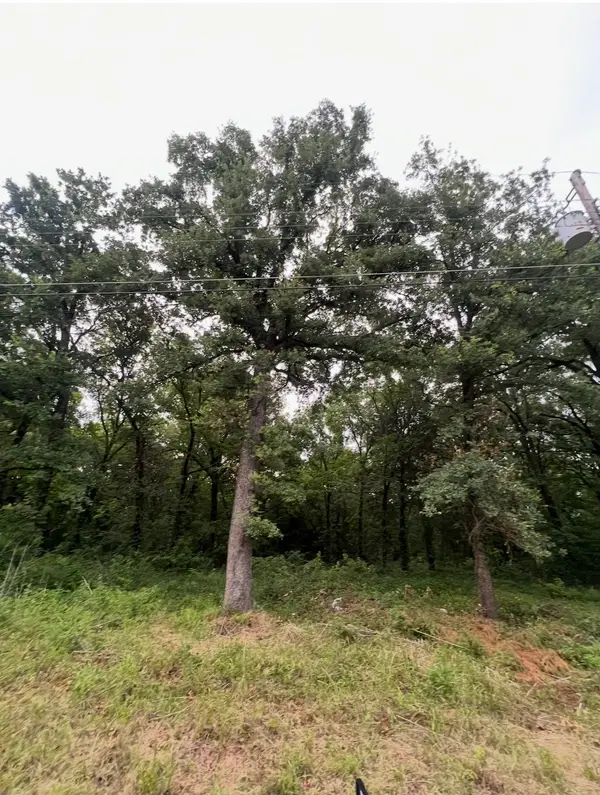 115 Inca Trail, Mabank, TX 75156