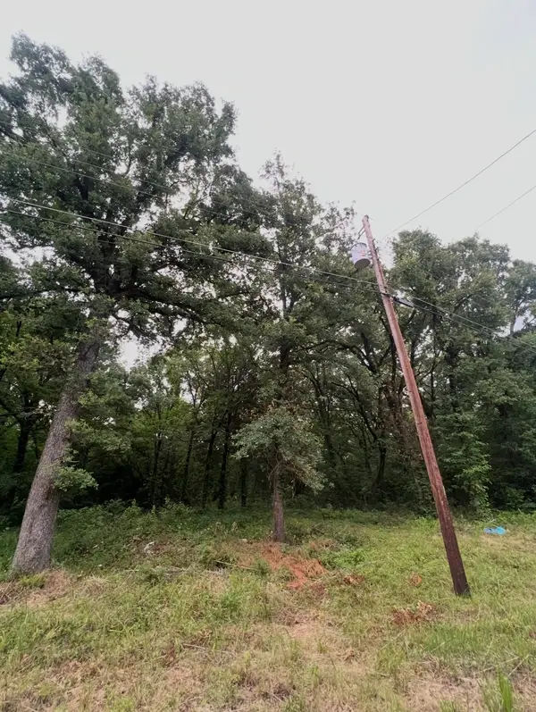 117 Inca Trail, Mabank, TX 75156